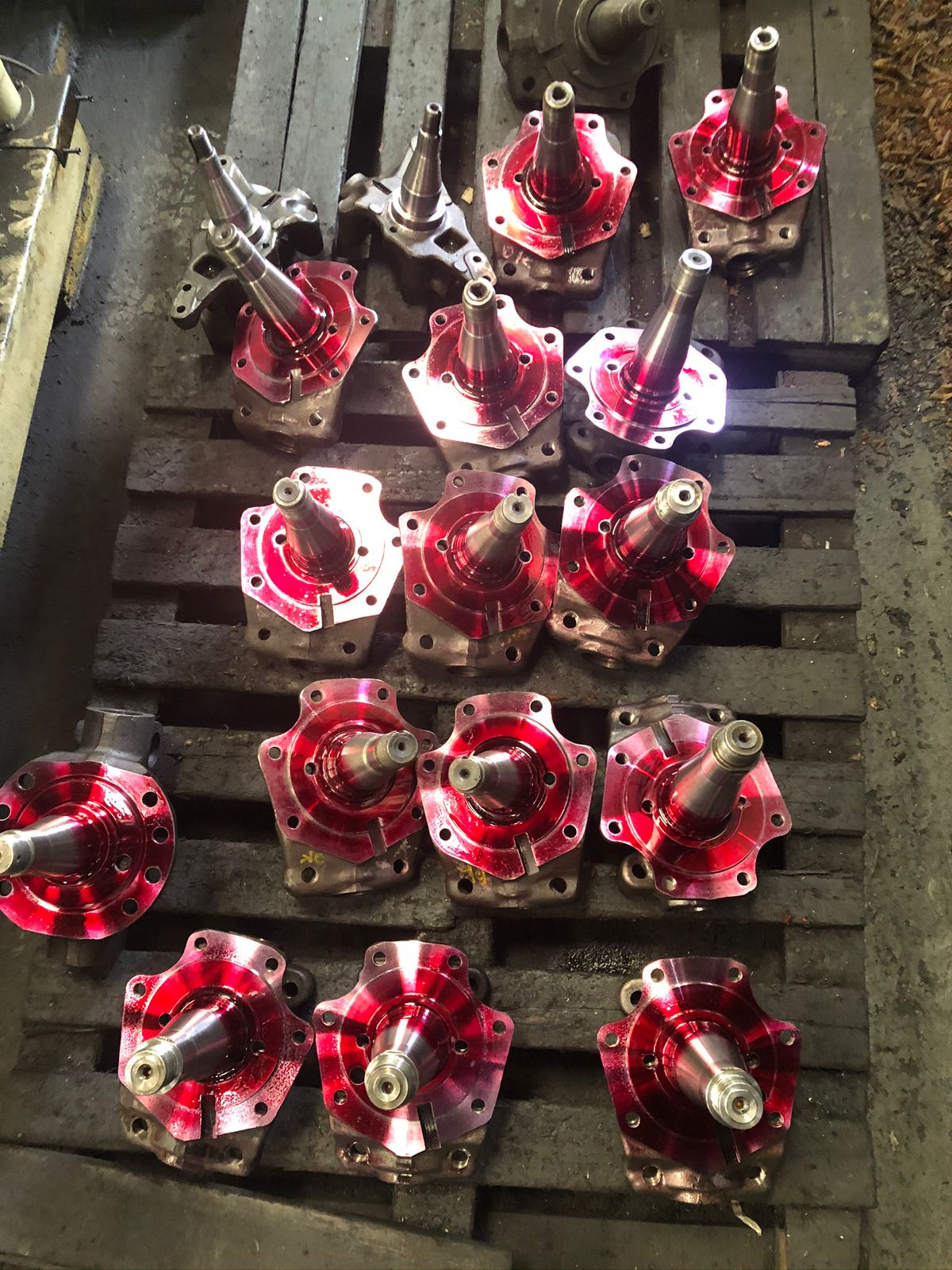 Imagem do WhatsApp de 2023-09-19 à(s) 12.45.56.jpg